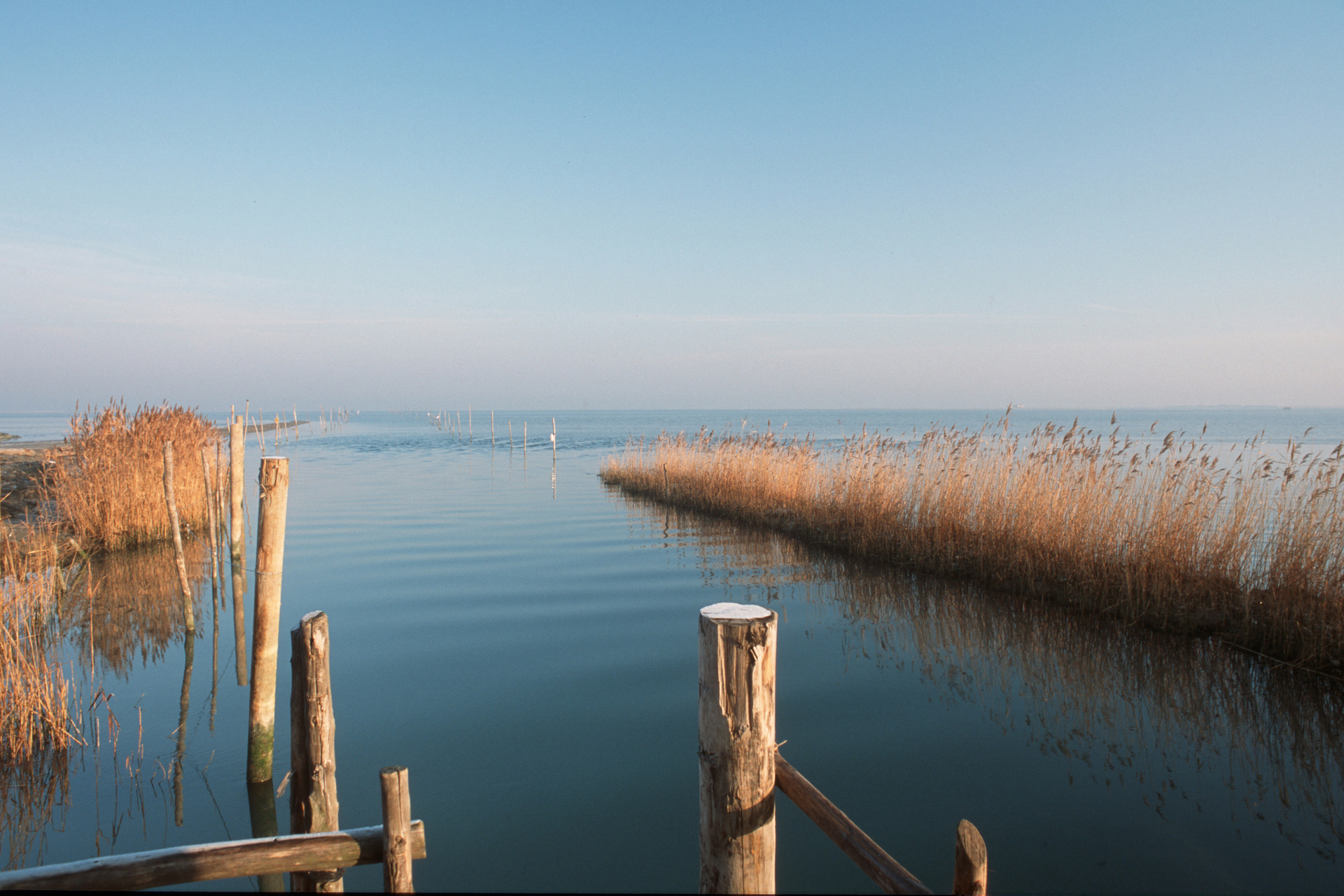 Neusiedler See