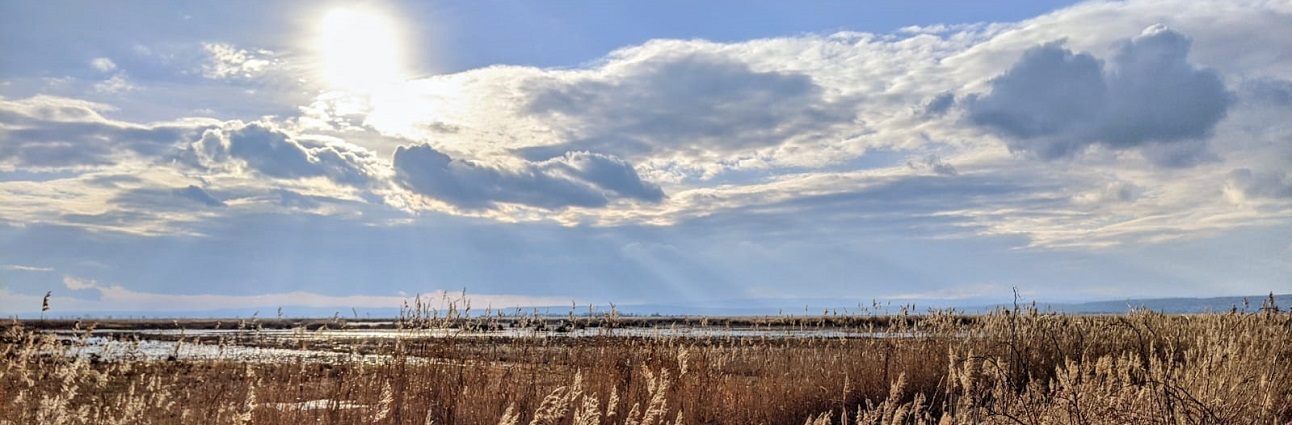 Neusiedler See c Martina Jauck NeusiedlerSee2023_c_MartinaJauck