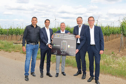 Vor einer Windenergie-Anlage der Burgenland Energie, deren Strom künftig Strom in CMBlu-Speicher fließen soll: v.l. Dr. Peter Geigle (m.), Gründer und CEO der CMBlu Energy AG, BE-CEO Stephan Sharma, DI Manfred Eibeck, Steyr Automotive GmbH, Kooperationspartner, LH Hans Peter Doskozil, BE-CFO Reinhard Czerny, MBA