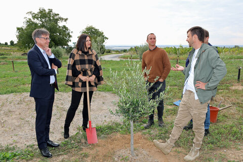 LH-Stv. Mag.a Astrid Eisenkopf informierte sich über das Projekt Oliven-Forschungshain der Agro Rebels in Mörbisch