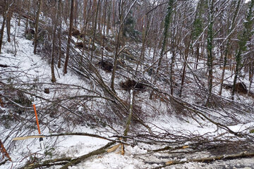 Die Arbeiten auf der L361 Altschlaining Goberling laufen auf Hochtouren
