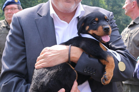 Landeshauptmann Hans Peter Doskozil schloss bereits Freundschaft mit seinem Patenkind, dem Rottweiler-Welpen Evita.